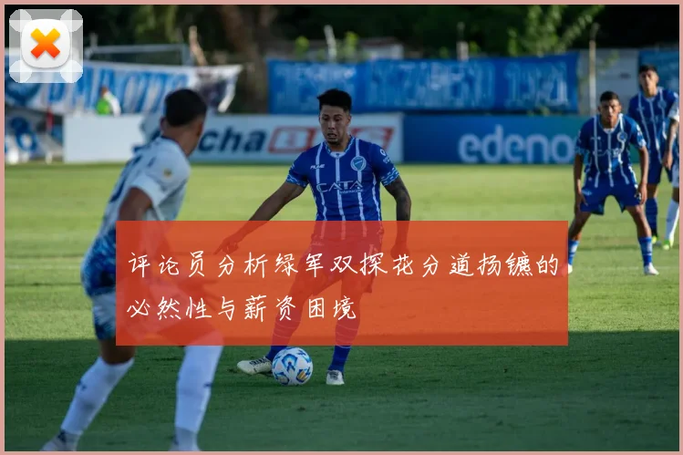 评论员分析绿军双探花分道扬镳的必然性与薪资困境