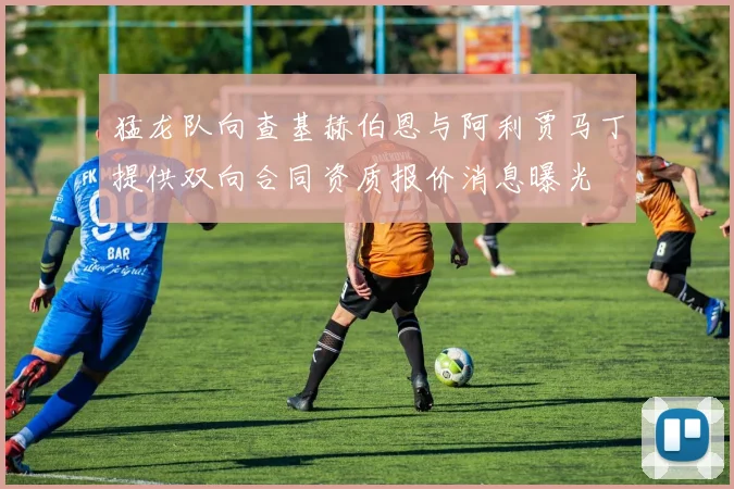 猛龙队向查基赫伯恩与阿利贾马丁提供双向合同资质报价消息曝光